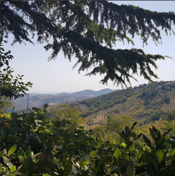 Agriturismo Bellavista Arsita Luaran gambar